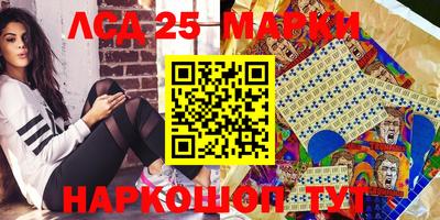 соль ск Сланцы