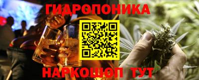 соль ск Сланцы