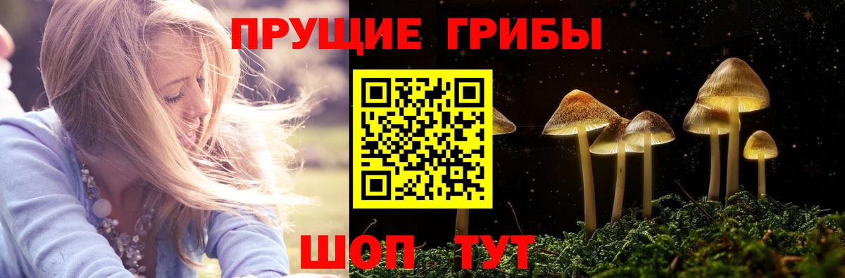 Галлюциногенные грибы прущие грибы Обь
